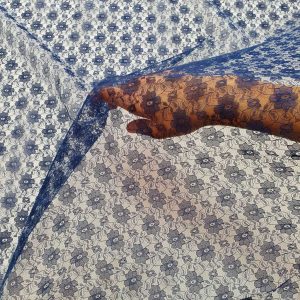 Dantela Thailanda Bleu-Marin - imagine 1