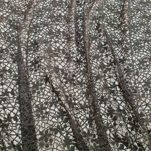 Spider Lace - imagine 6