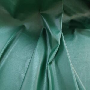 Piele Elastica - imagine 1